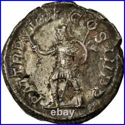 Alexander, Denier, Argent, SUP, Cohen365