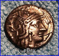 Denier romain CALIDIA 116 Av J. C. TTB+ R2 argent SUP