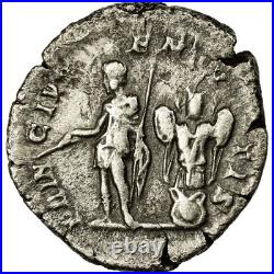 Geta, Denier, Argent, TTB+, Cohen157