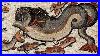 How_A_Fish_Bankrupted_The_Roman_Aristocracy_01_sxx