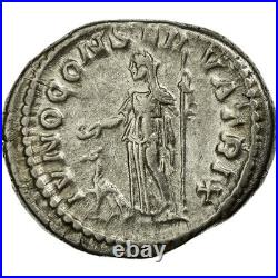 Julia, Denier, Argent, SUP, Cohen35