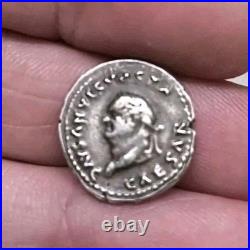 Monnaie Romaine Denier Vespasien Truie SUP R2