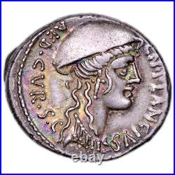 Monnaie Romaine Plancia Denier Argent Rome SPL