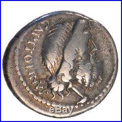 Monnaies antiques, Petillia, Denier #64543